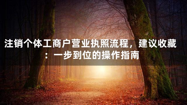 注销个体工商户营业执照流程，建议收藏：一步到位的操作指南