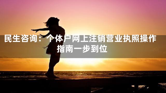 民生咨询：个体户网上注销营业执照操作指南一步到位