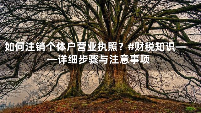 如何注销个体户营业执照？#财税知识——详细步骤与注意事项