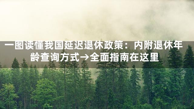 一图读懂我国延迟退休政策：内附退休年龄查询方式→全面指南在这里