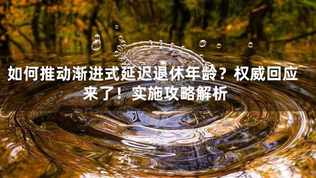如何推动渐进式延迟退休年龄？权威回应来了！实施攻略解析