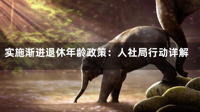 实施渐进退休年龄政策：人社局行动详解