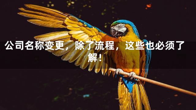 公司名称变更，除了流程，这些也必须了解！