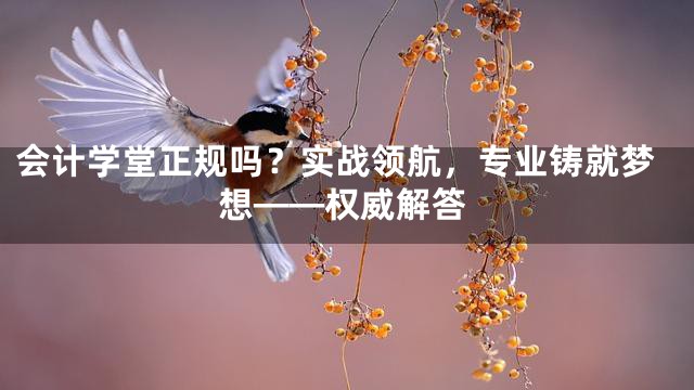 会计学堂正规吗？实战领航，专业铸就梦想——权威解答