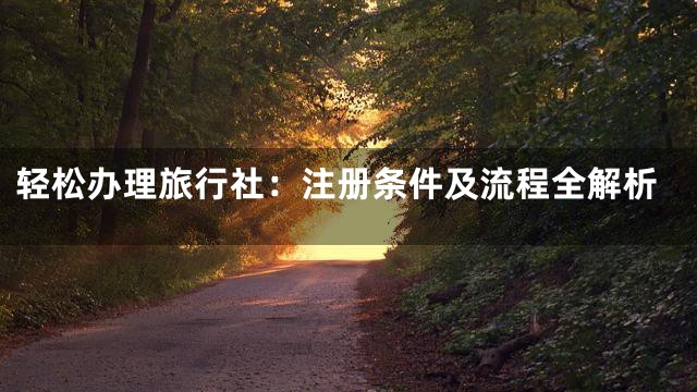 轻松办理旅行社：注册条件及流程全解析