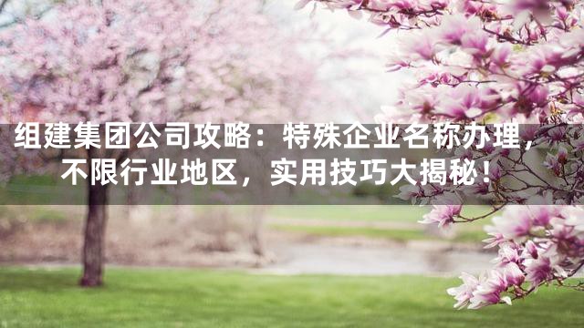 组建集团公司攻略：特殊企业名称办理，不限行业地区，实用技巧大揭秘！