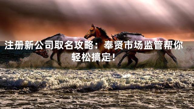 注册新公司取名攻略：奉贤市场监管帮你轻松搞定！