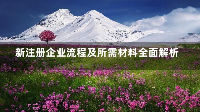 新注册企业流程及所需材料全面解析