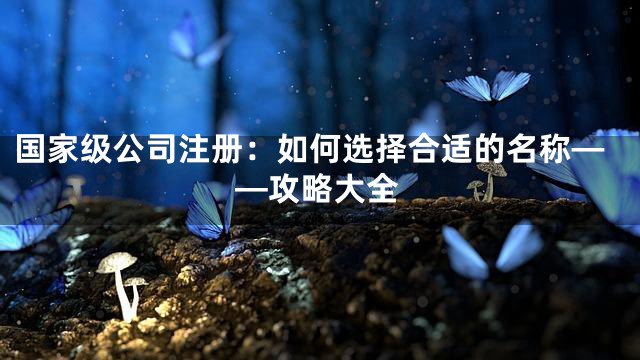 国家级公司注册：如何选择合适的名称——攻略大全