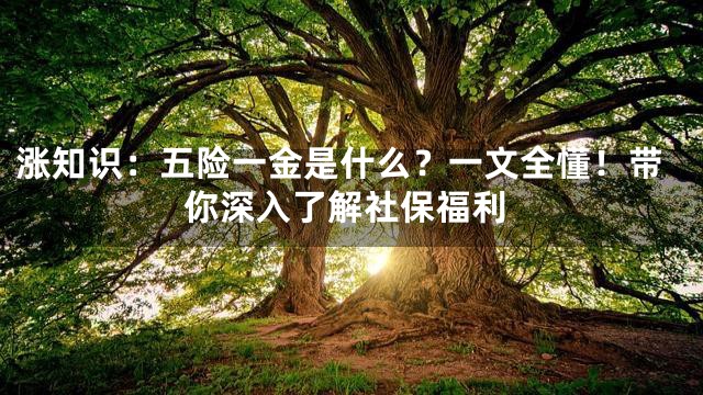 涨知识：五险一金是什么？一文全懂！带你深入了解社保福利