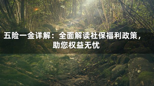 五险一金详解：全面解读社保福利政策，助您权益无忧