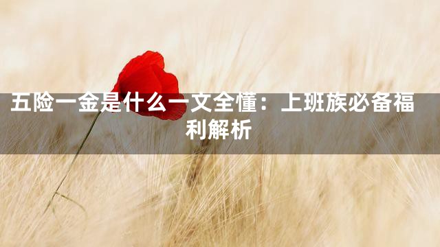 五险一金是什么一文全懂：上班族必备福利解析