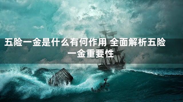 五险一金是什么有何作用 全面解析五险一金重要性