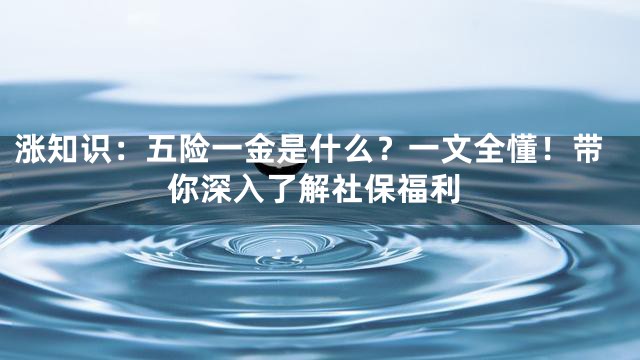 涨知识：五险一金是什么？一文全懂！带你深入了解社保福利