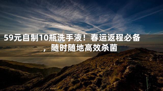 59元自制10瓶洗手液！春运返程必备，随时随地高效杀菌