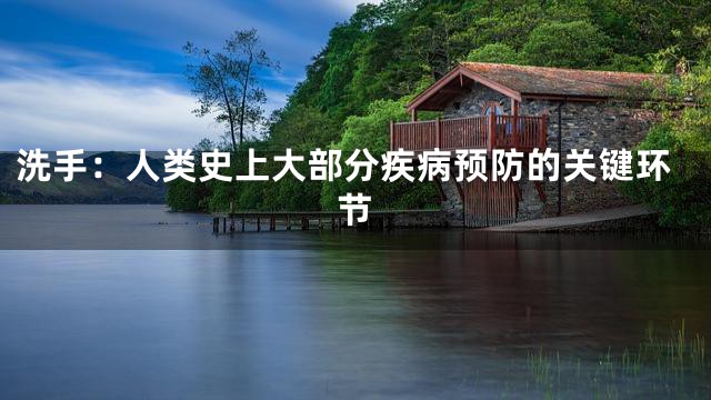 洗手：人类史上大部分疾病预防的关键环节