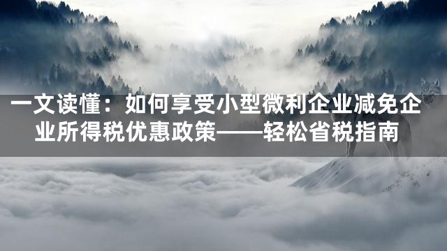 一文读懂：如何享受小型微利企业减免企业所得税优惠政策——轻松省税指南