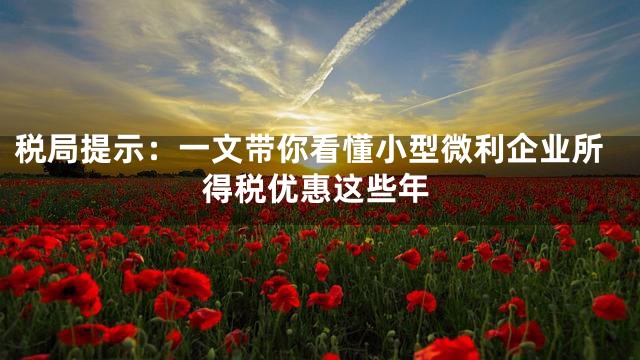 税局提示：一文带你看懂小型微利企业所得税优惠这些年