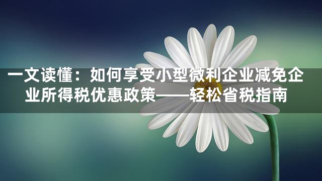 一文读懂：如何享受小型微利企业减免企业所得税优惠政策——轻松省税指南