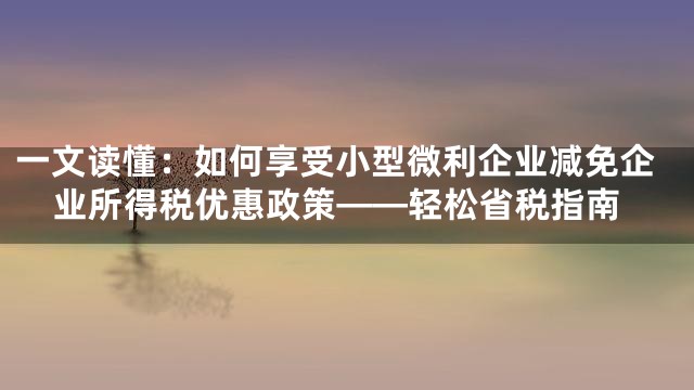 一文读懂：如何享受小型微利企业减免企业所得税优惠政策——轻松省税指南