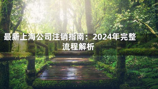 最新上海公司注销指南：2024年完整流程解析