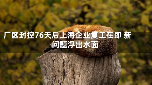 厂区封控76天后上海企业复工在即 新问题浮出水面