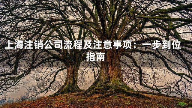 上海注销公司流程及注意事项：一步到位指南