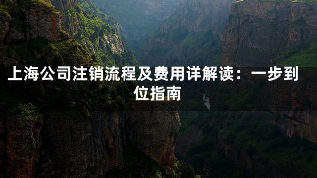 上海公司注销流程及费用详解读：一步到位指南