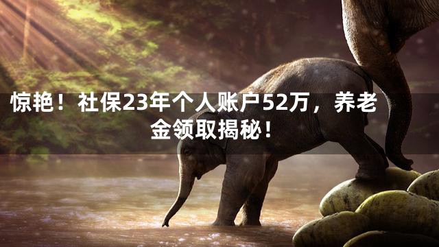 惊艳！社保23年个人账户52万，养老金领取揭秘！