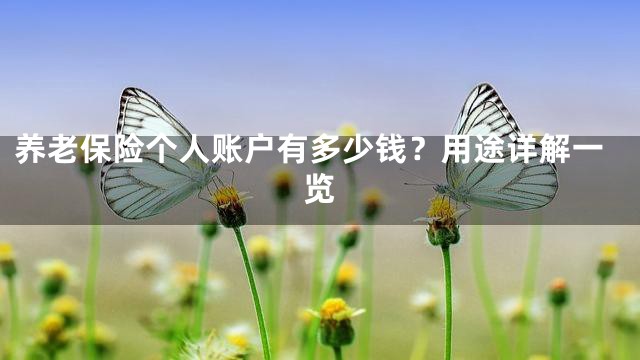 养老保险个人账户有多少钱？用途详解一览