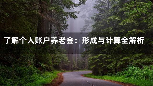 了解个人账户养老金：形成与计算全解析