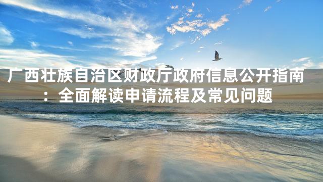 广西壮族自治区财政厅政府信息公开指南：全面解读申请流程及常见问题