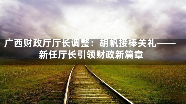 广西财政厅厅长调整：胡帆接棒关礼——新任厅长引领财政新篇章