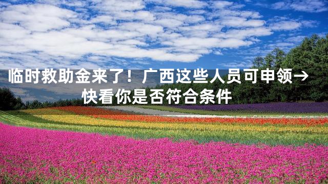 临时救助金来了！广西这些人员可申领→ 快看你是否符合条件