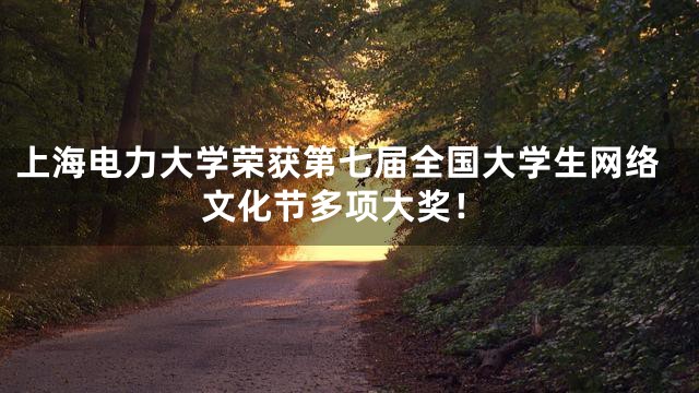 上海电力大学荣获第七届全国大学生网络文化节多项大奖！