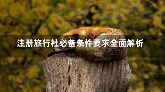 注册旅行社必备条件要求全面解析