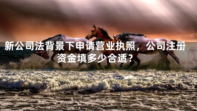 新公司法背景下申请营业执照，公司注册资金填多少合适？