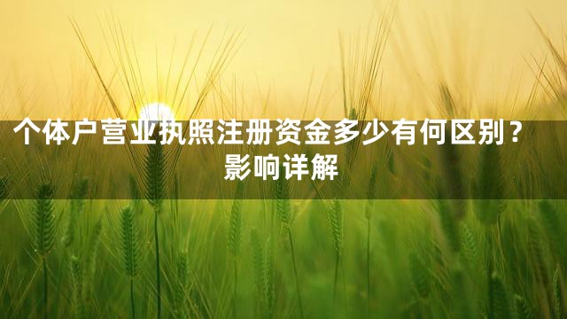 个体户营业执照注册资金多少有何区别？影响详解