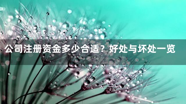 公司注册资金多少合适？好处与坏处一览