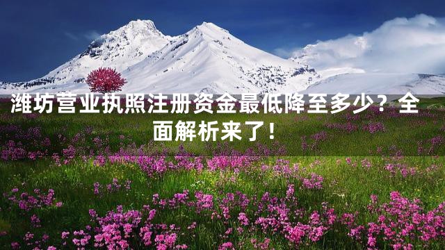 潍坊营业执照注册资金最低降至多少？全面解析来了！