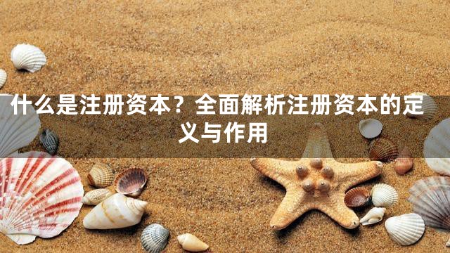 什么是注册资本？全面解析注册资本的定义与作用