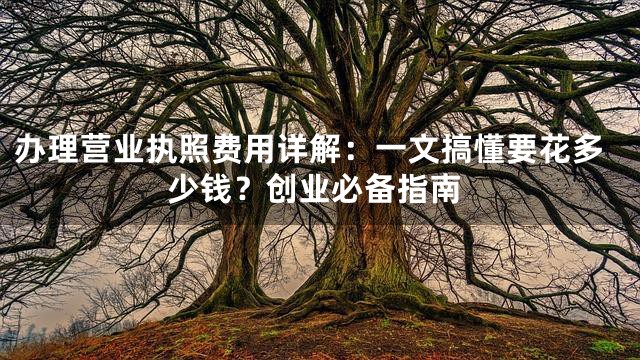 办理营业执照费用详解：一文搞懂要花多少钱？创业必备指南
