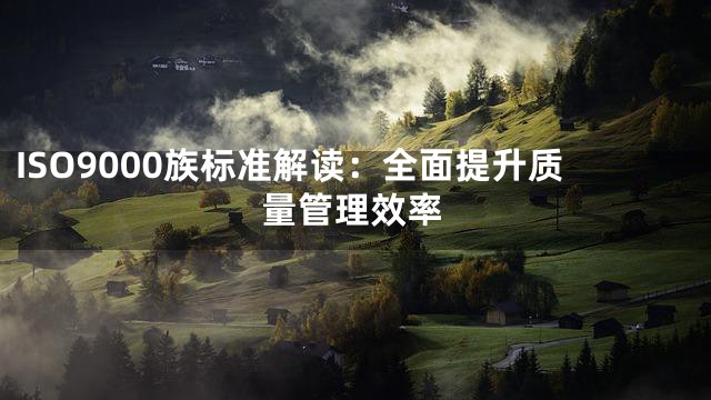 ISO9000族标准解读：全面提升质量管理效率