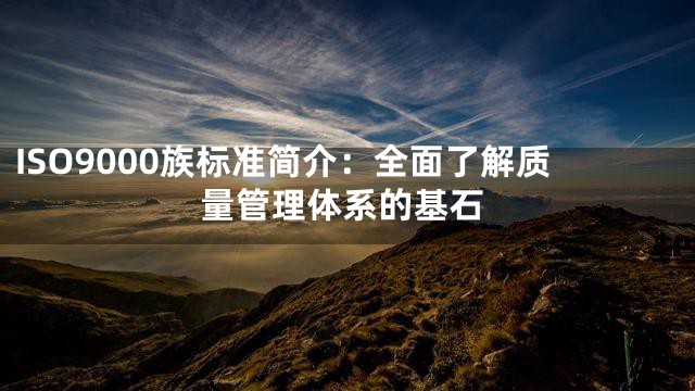ISO9000族标准简介：全面了解质量管理体系的基石