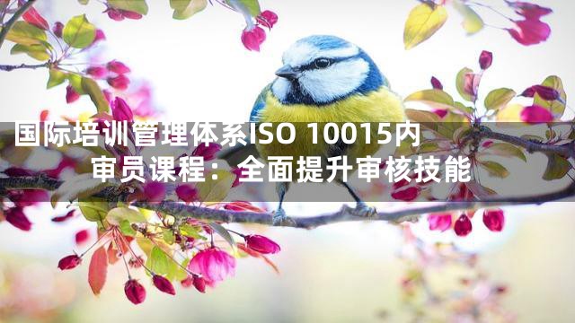 国际培训管理体系ISO 10015内审员课程：全面提升审核技能