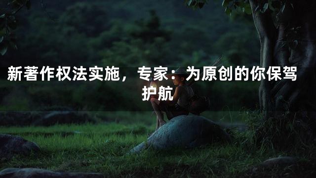 新著作权法实施，专家：为原创的你保驾护航