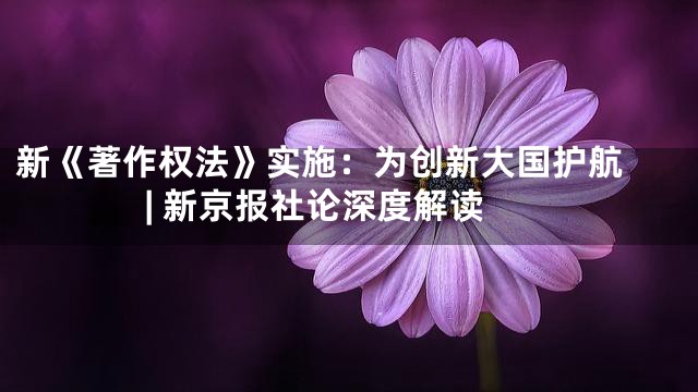 新《著作权法》实施：为创新大国护航 | 新京报社论深度解读