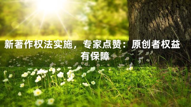 新著作权法实施，专家点赞：原创者权益有保障