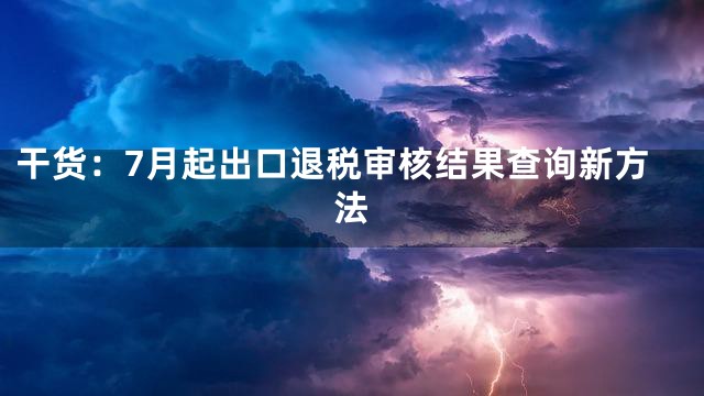 干货：7月起出口退税审核结果查询新方法