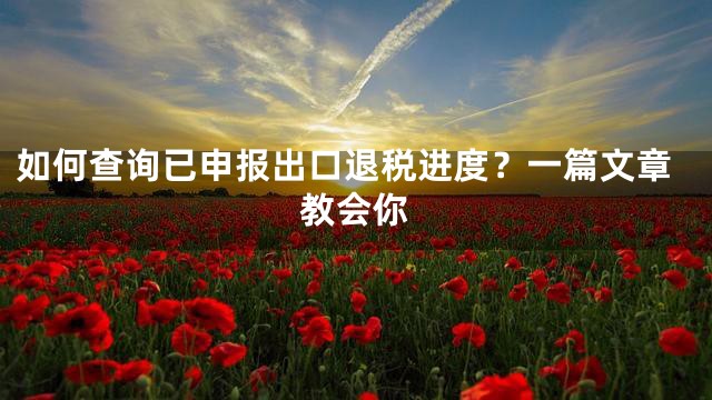 如何查询已申报出口退税进度？一篇文章教会你